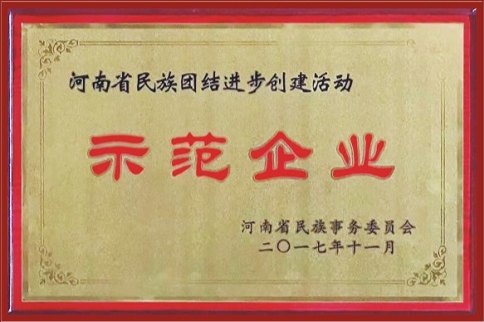 河南省民族團(tuán)結(jié)進(jìn)步創(chuàng)建活動(dòng)示范企業(yè)